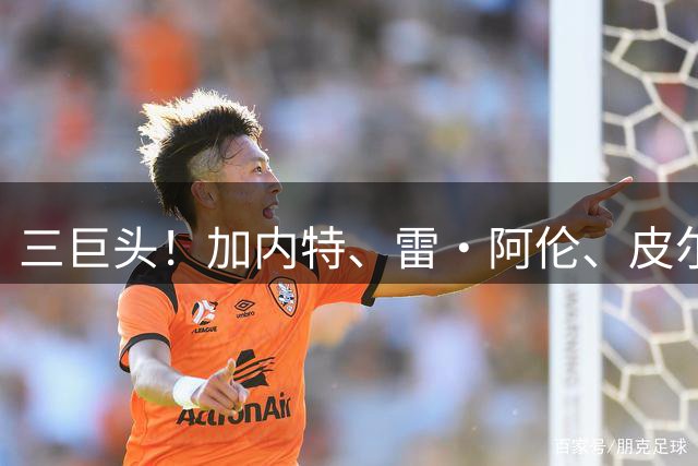 三巨头！加内特、雷·阿伦、皮尔斯见证老里入选名人堂！
