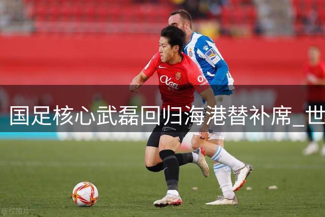 国足核心武磊回归海港替补席 世界杯解说任务期间缺席俱乐部赛事