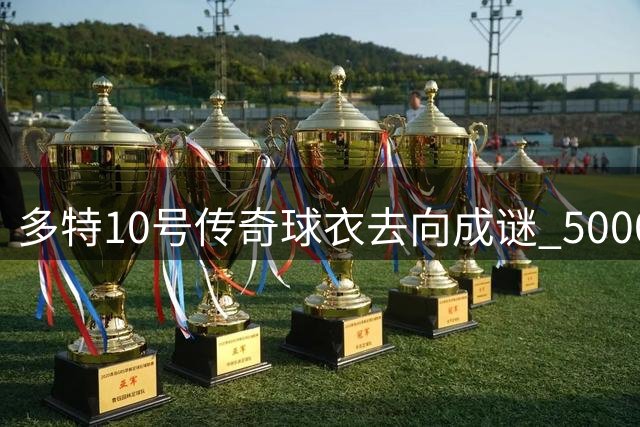 多特10号传奇球衣去向成谜 5000万欧引援目标恐落空