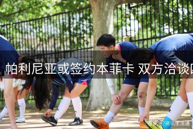 帕利尼亚或签约本菲卡 双方洽谈四年合同