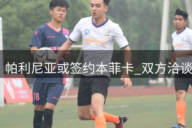 帕利尼亚或签约本菲卡 双方洽谈四年合同