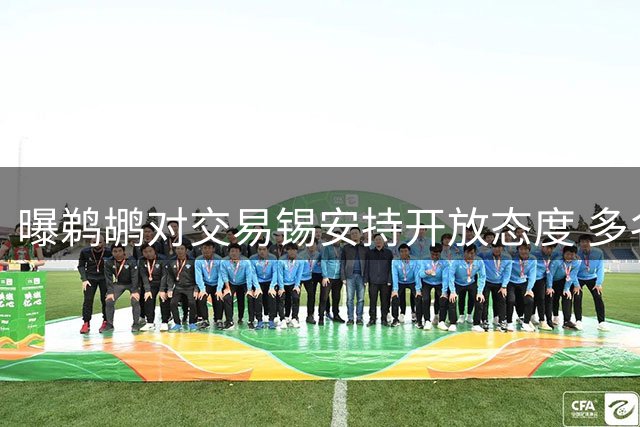 曝鹈鹕对交易锡安持开放态度 多名高管证实这一动向