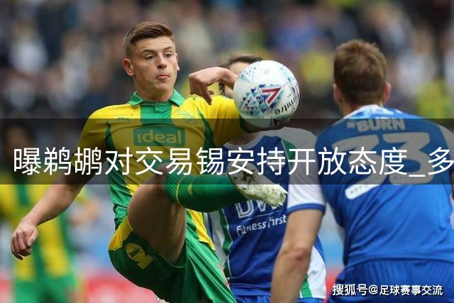 曝鹈鹕对交易锡安持开放态度 多名高管证实这一动向